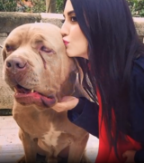 Bozkurtdoggirls's Avatar