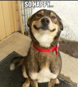 netvoice1111's Avatar