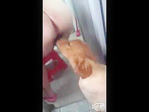 Chinese girl licked by dog - Bestiality Girls - Beast Porn Videos